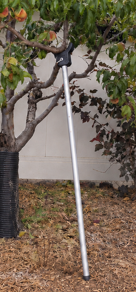 Tree Crutch with Aluminum Pole